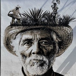 Meet your Posher, Celeste